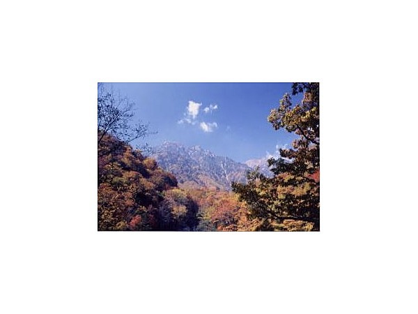 中央アルプス県立千人塚公園・与田切渓谷