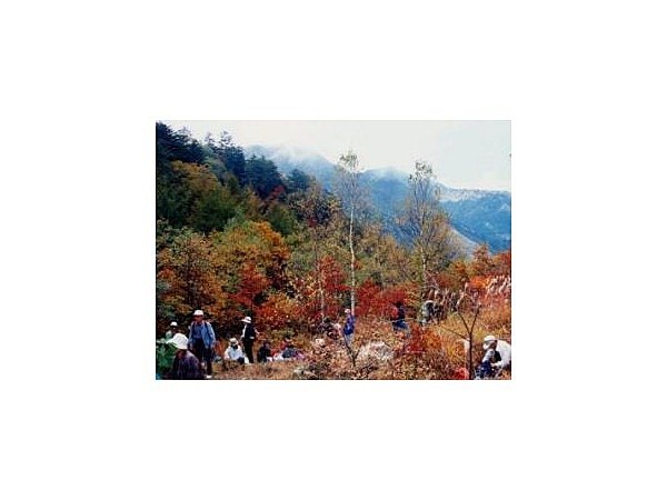 権兵衛峠の紅葉