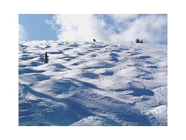 しらかば2in1スキー場