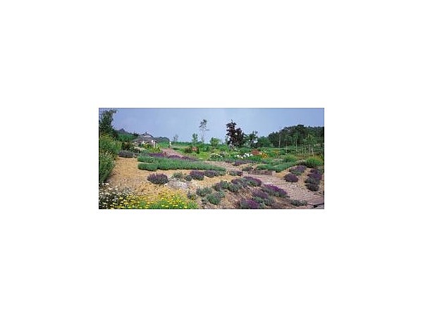 やまびこの丘公園