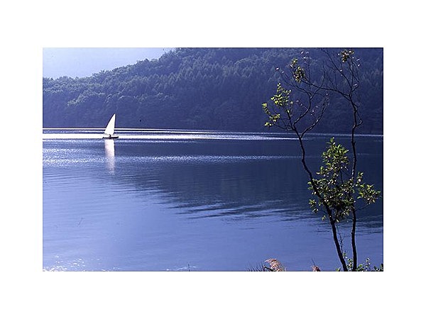 木崎湖と季節の花めぐりコース