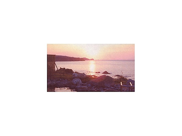 岬の湯　しゃこたん
