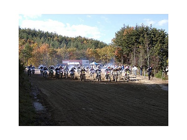 スポーツランド泰阜