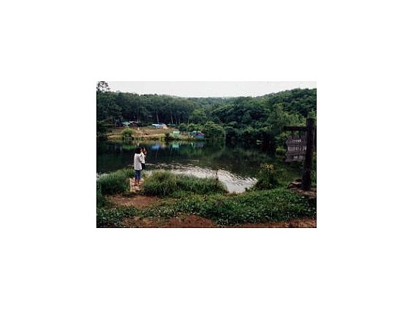 駒出池キャンプ場