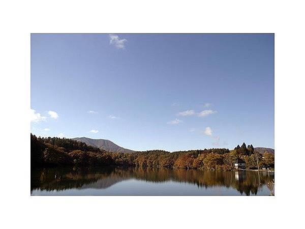 斑尾高原の紅葉