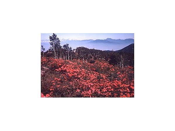 五味池破風高原