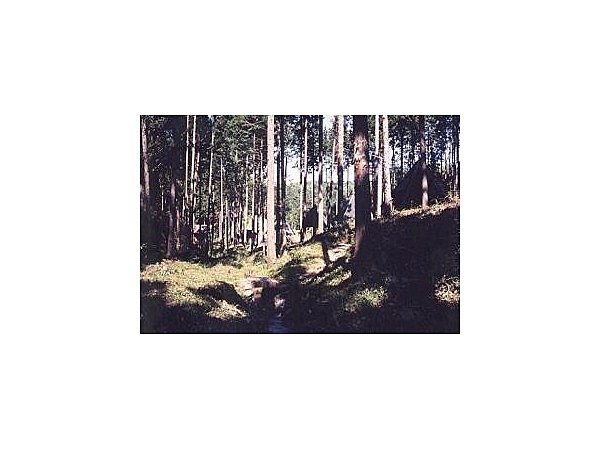 阿南町森林公園