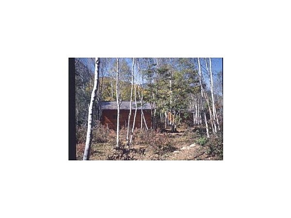 金峰ふれあいの森