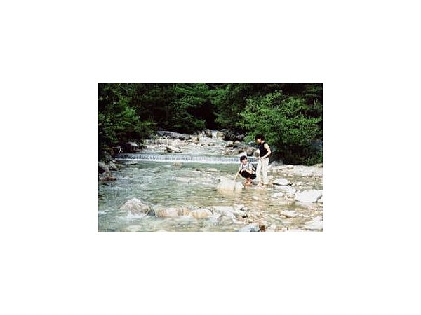 馬羅尾高原清流の森