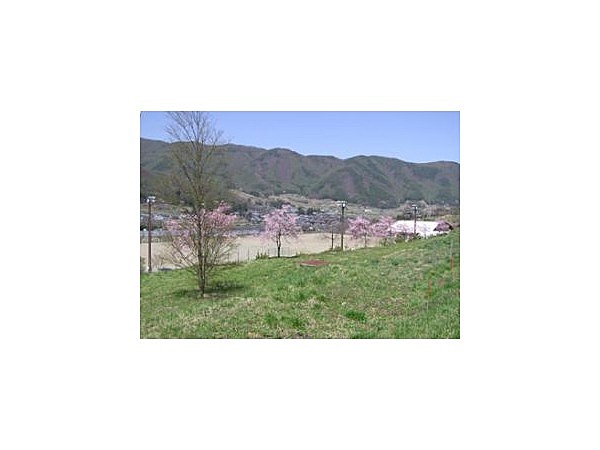 和田多目的グラウンド