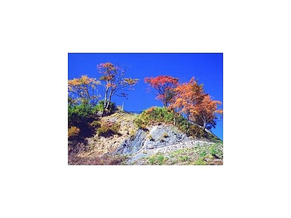 中央構造線露頭