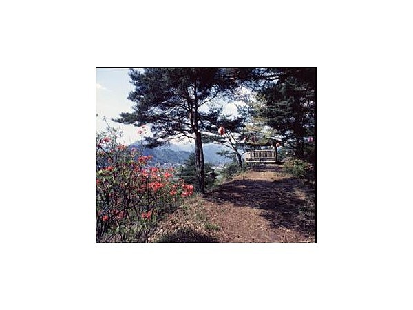 武石公園(ツツジの森ファミリー公園)