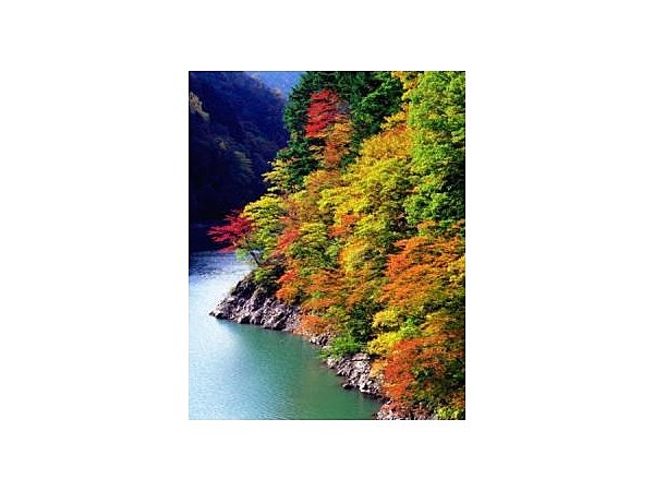 梓川渓谷の紅葉