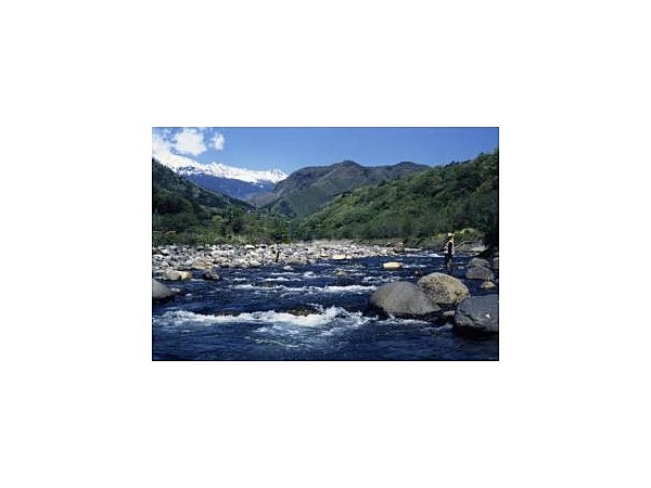 御嶽の里　西野川キャッチ＆リリース