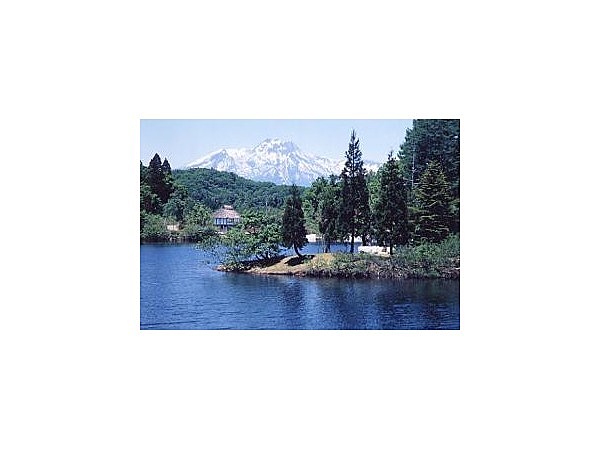 斑尾高原希望湖のバス釣り