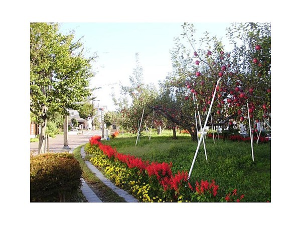 りんご並木と三連蔵