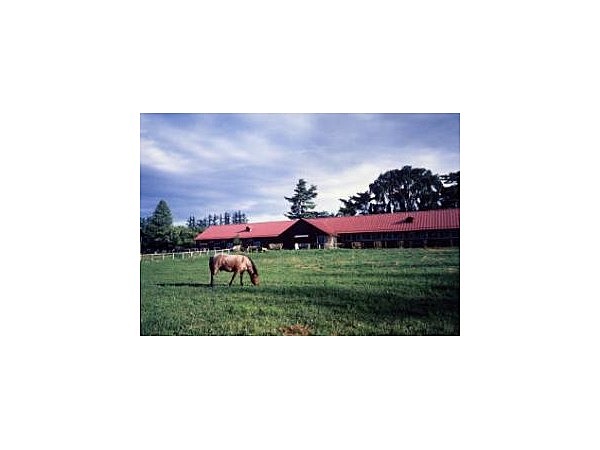 独立行政法人家畜改良センター茨城牧場長野支場