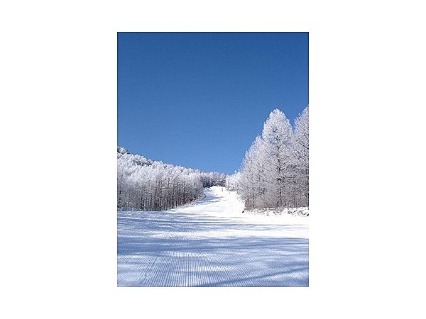 八千穂高原スキー場