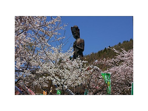 世界平和聖観世音菩薩周辺の桜