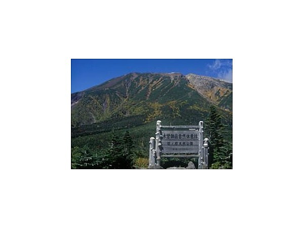 田の原天然公園