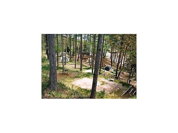 こだまの森キャンプ場