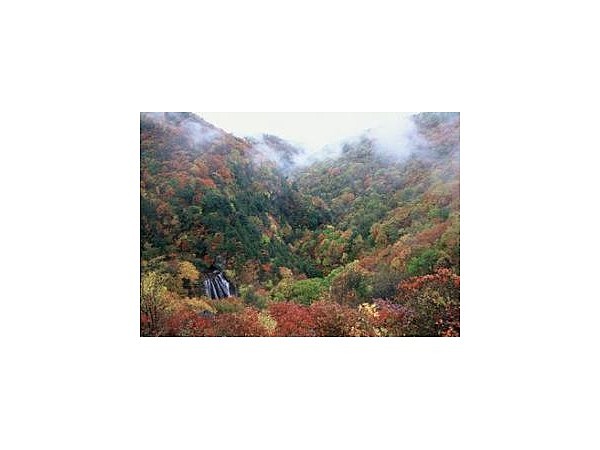 横谷渓谷の紅葉