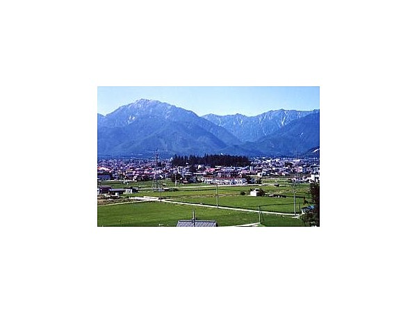 若一王子神社の社叢