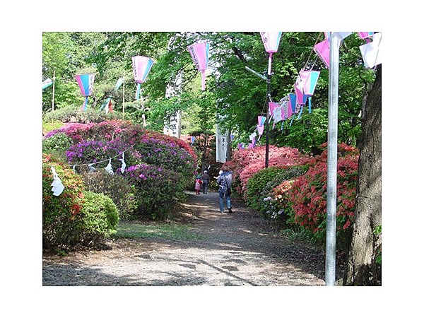 高尾公園のつつじ