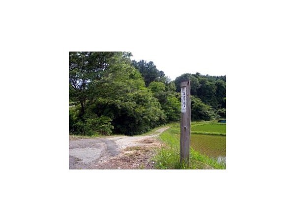 御牧ヶ原笹沢川の蛍