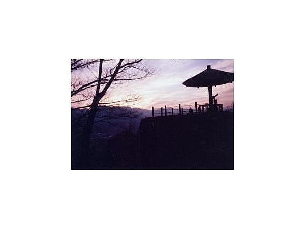 小諸城址懐古園展望台