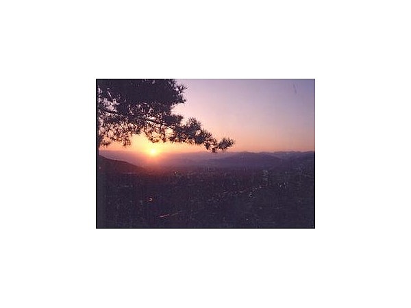 臥竜公園・臥竜山(須田城跡)