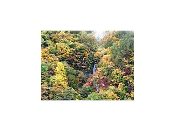 天狗の滝の紅葉