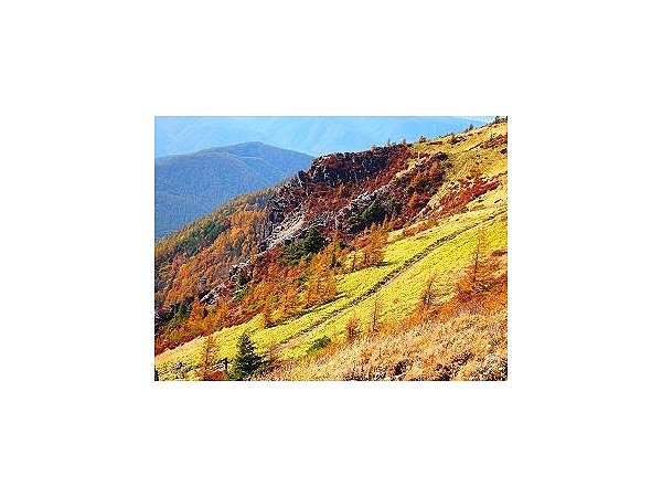 美ヶ原高原の紅葉