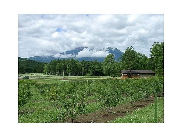 ＫＡＩＤＡファーム