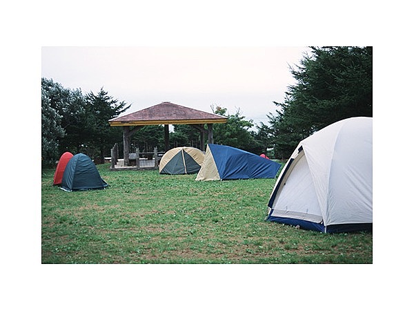 稚内 森林公園 キャンプ場