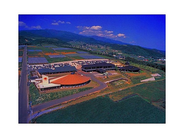 ひだまり農園ブルーベリーの丘