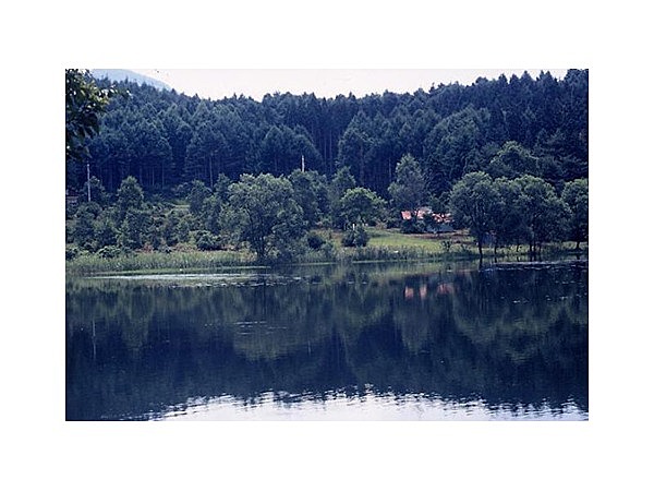 大池キャンプ場