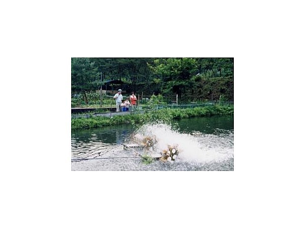 カマクラフイッシュセンター