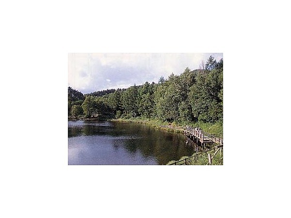 高ソメキャンプ場