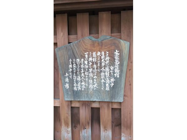 藤村プロムナード