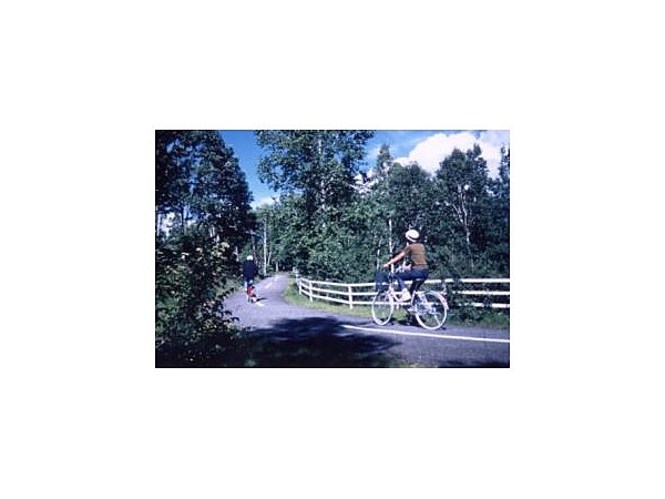 乗鞍高原サイクリングコース