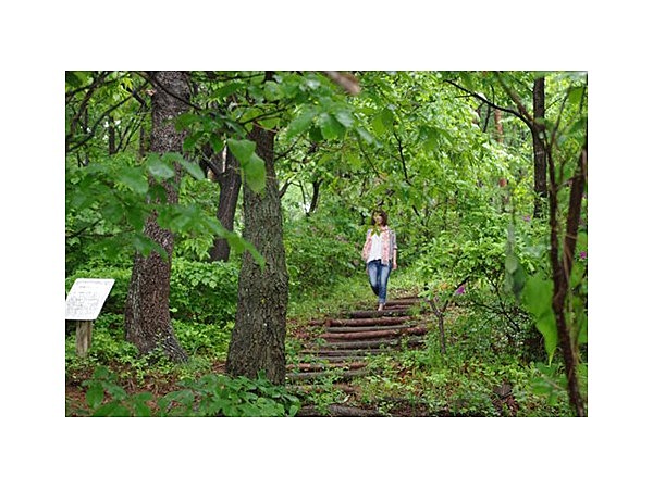 森林セラピー基地・平尾の森