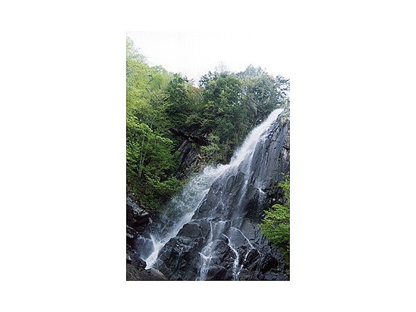 森林公園おおくら滝