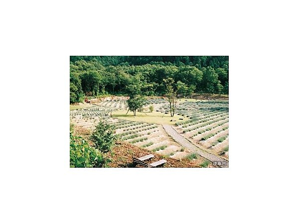 ながら川ふれあいの森