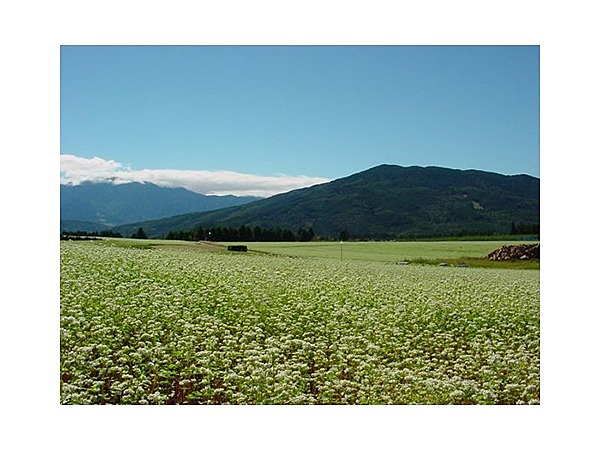 椛の湖自然公園