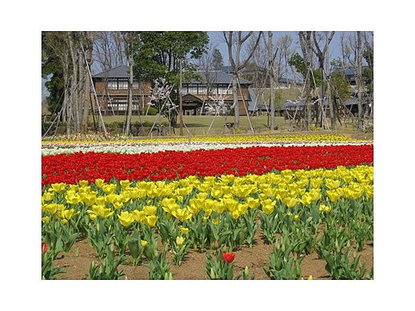 ぎふ清流里山公園