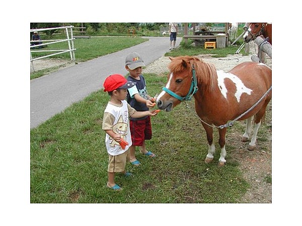 中津川市ふれあい牧場