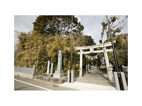 梶屋八幡神社の社叢(カンチク)