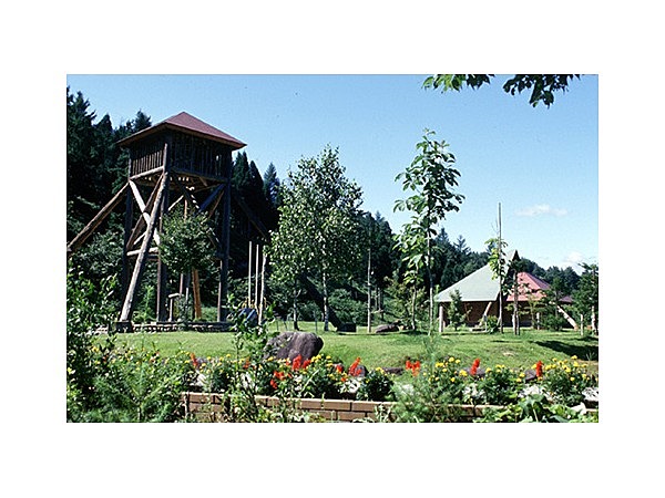 荘川であいの森