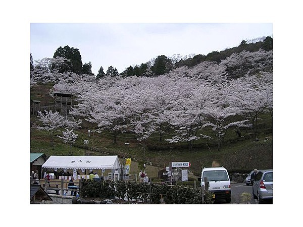 蘭丸ふる里の森
